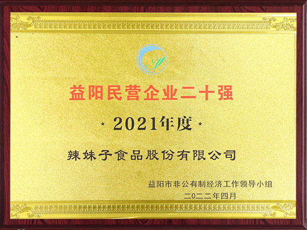 益陽(yáng)民營(yíng)企業(yè)二十強2021年度